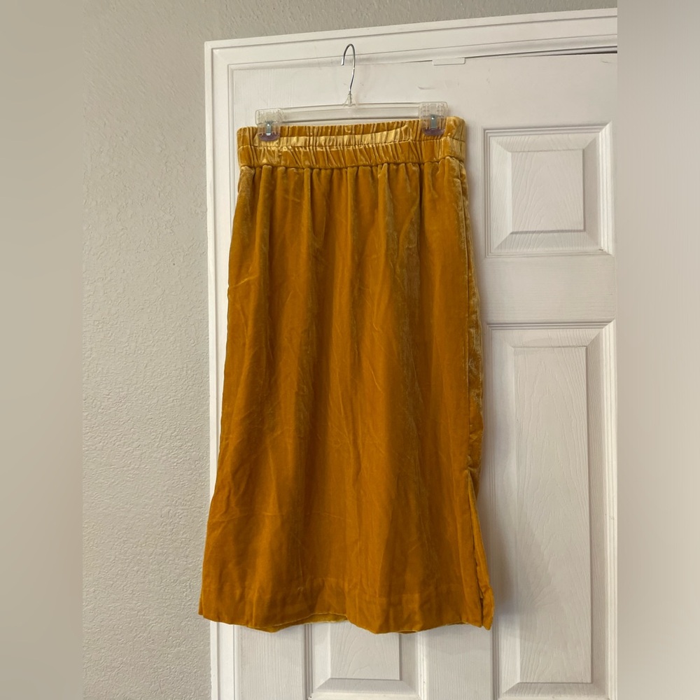 NWT velvet skirt